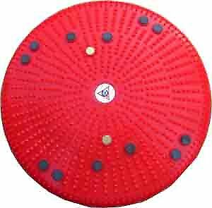 Best Body Weight Reduction Acupressure Twister - Deluxe